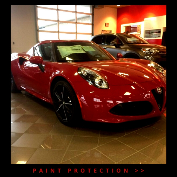 Click here to explore our paint protection services 